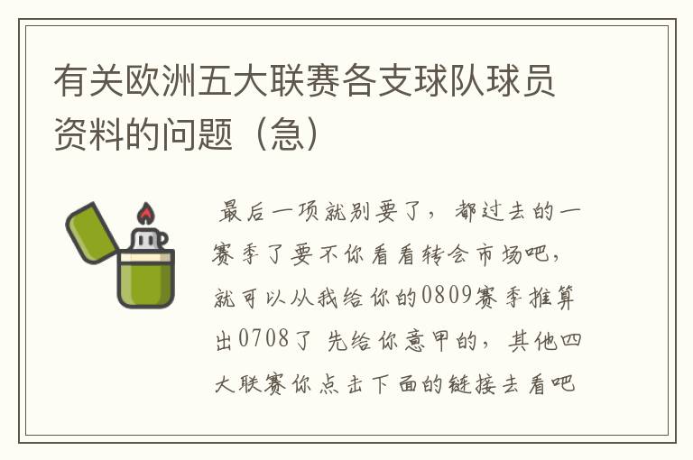有关欧洲五大联赛各支球队球员资料的问题(急)