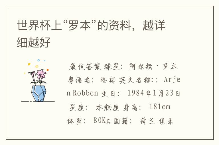 世界杯上“罗本”的资料,越详细越好