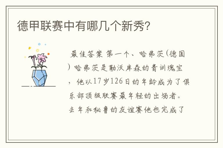 德甲联赛中有哪几个新秀?