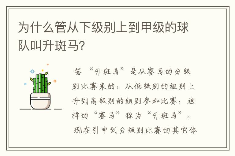 为什么管从下级别上到甲级的球队叫升斑马?