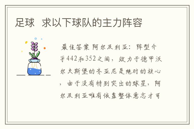 足球 求以下球队的主力阵容