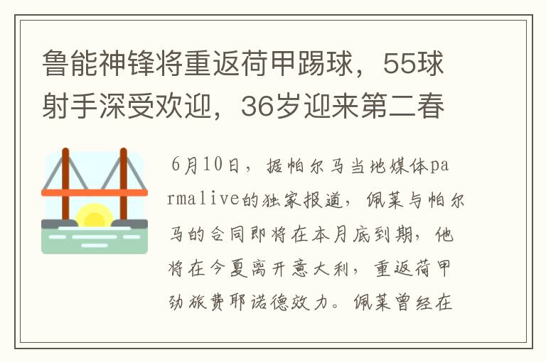 鲁能神锋将重返荷甲踢球,55球射手深受欢迎,36岁迎来第二春