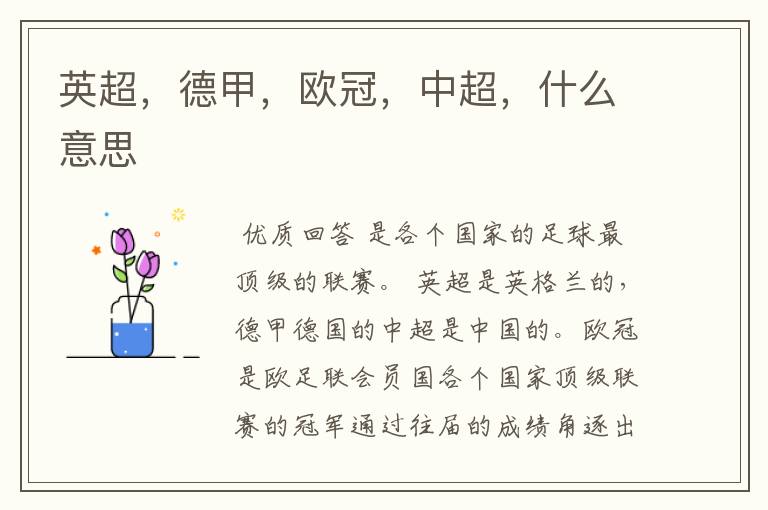 英超,德甲,欧冠,中超,什么意思