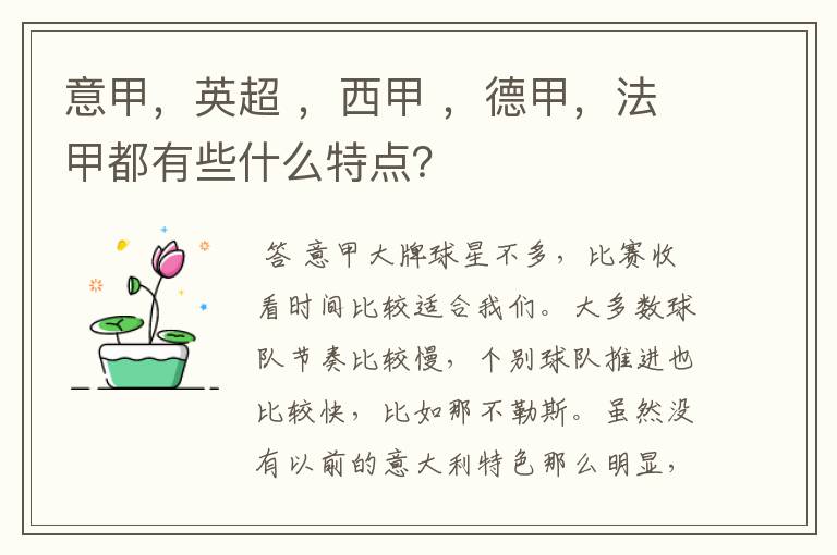 意甲,英超 ,西甲 ,德甲,法甲都有些什么特点?