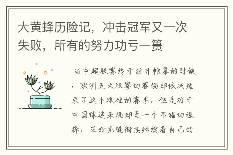 大黄蜂历险记,冲击冠军又一次失败,所有的努力功亏一篑