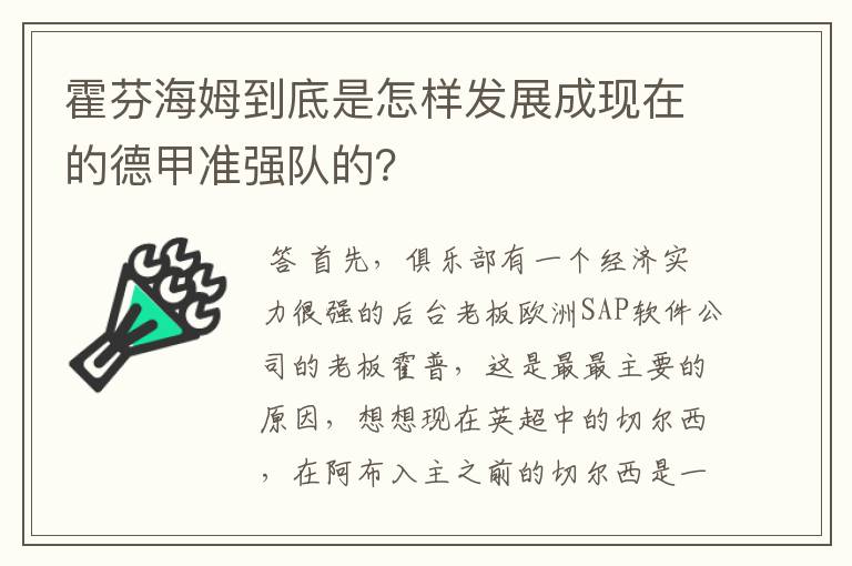 霍芬海姆到底是怎样发展成现在的德甲准强队的?