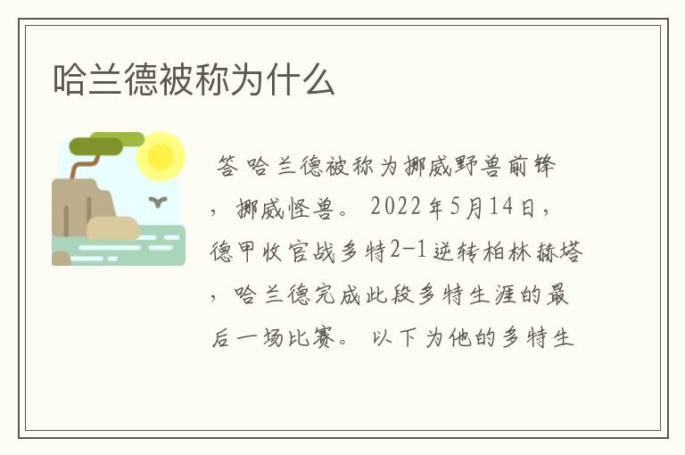 哈兰德被称为什么