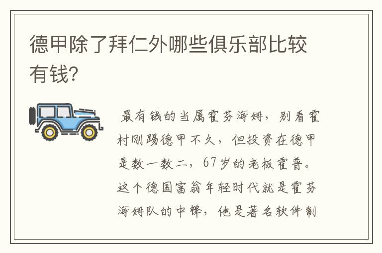 德甲除了拜仁外哪些俱乐部比较有钱?