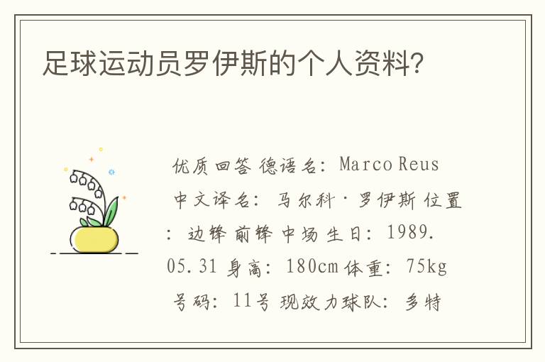 足球运动员罗伊斯的个人资料?