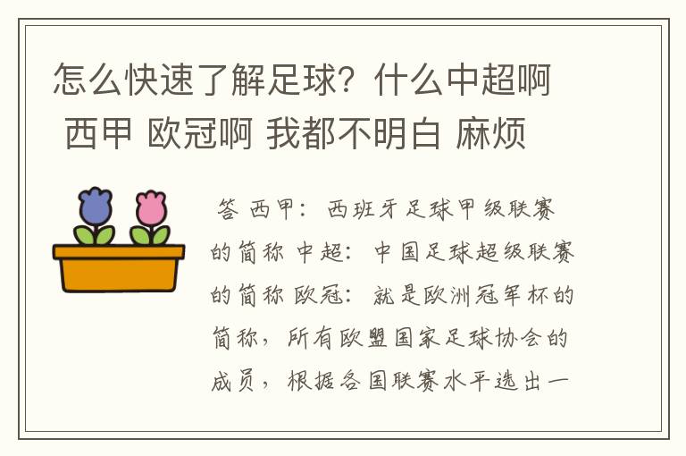 怎么快速了解足球?什么中超啊 西甲 欧冠啊 我都不明白 麻烦 有哪位特别了解足球的 跟我讲讲,多谢