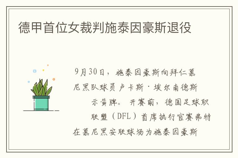 德甲首位女裁判施泰因豪斯退役