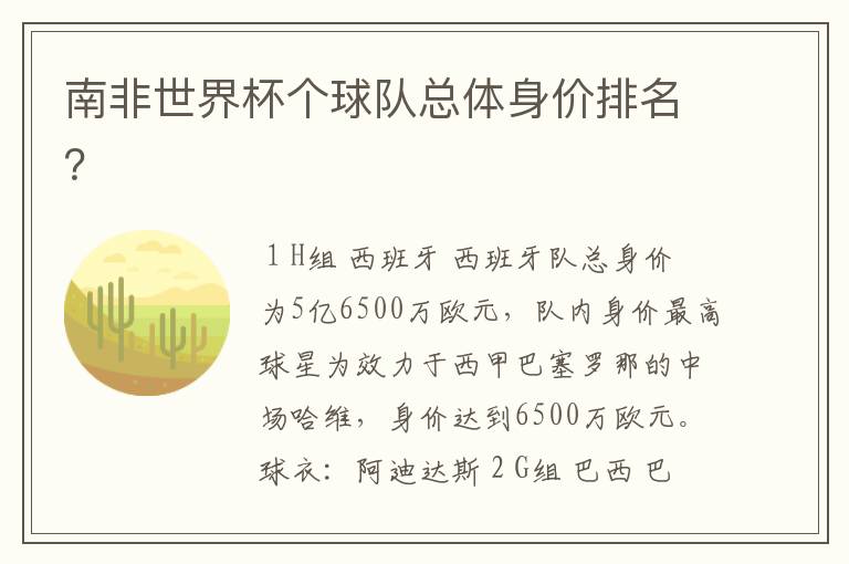 南非世界杯个球队总体身价排名?