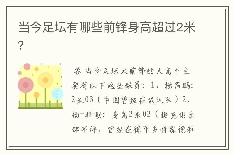 当今足坛有哪些前锋身高超过2米?