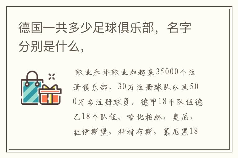 德国一共多少足球俱乐部,名字分别是什么,