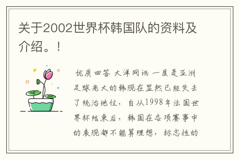 关于2002世界杯韩国队的资料及介绍。!