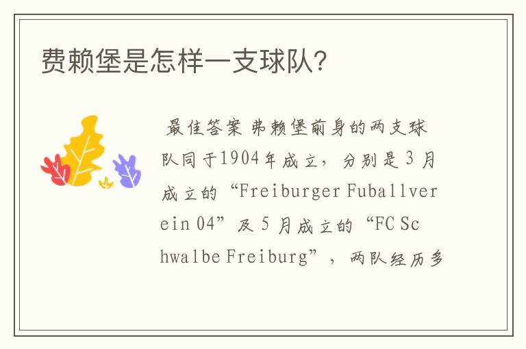 费赖堡是怎样一支球队?
