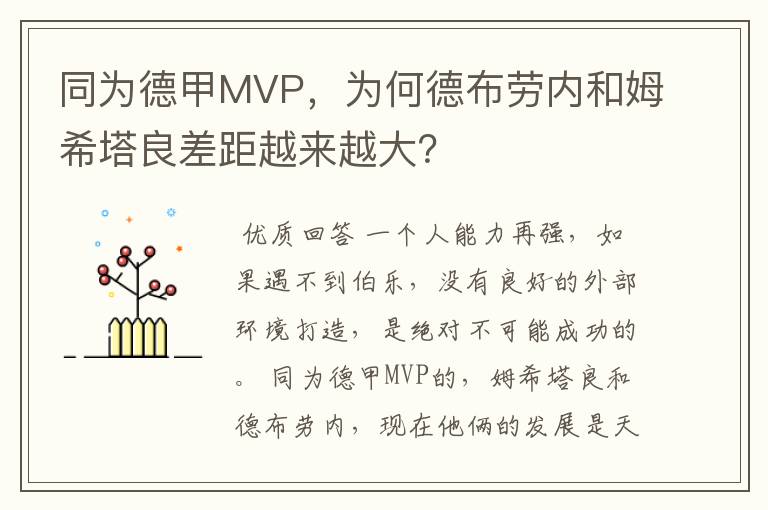 同为德甲MVP,为何德布劳内和姆希塔良差距越来越大?