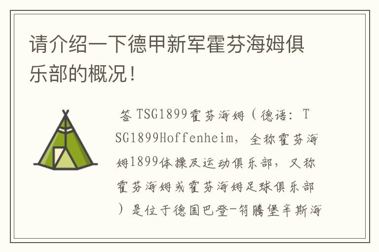 请介绍一下德甲新军霍芬海姆俱乐部的概况!