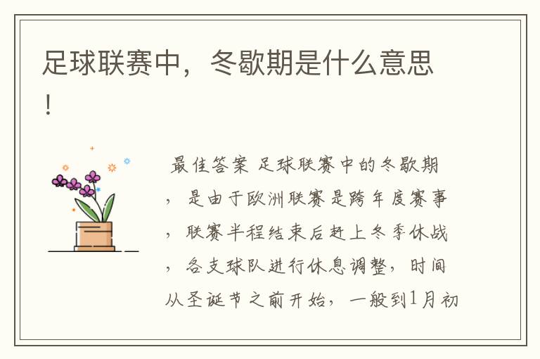 足球联赛中,冬歇期是什么意思!