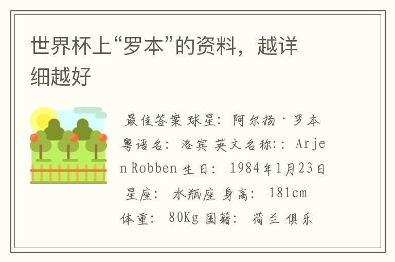 世界杯上“罗本”的资料,越详细越好