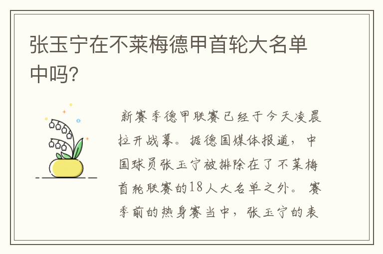 张玉宁在不莱梅德甲首轮大名单中吗?