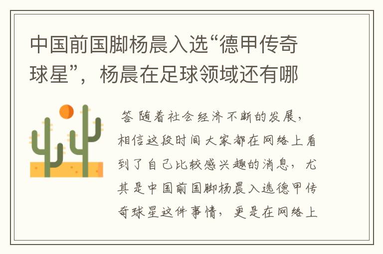 中国前国脚杨晨入选“德甲传奇球星”,杨晨在足球领域还有哪些成就?