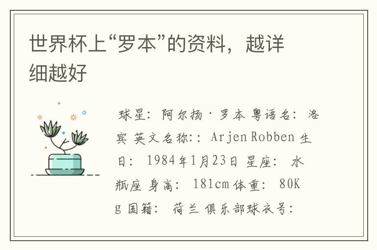 世界杯上“罗本”的资料,越详细越好
