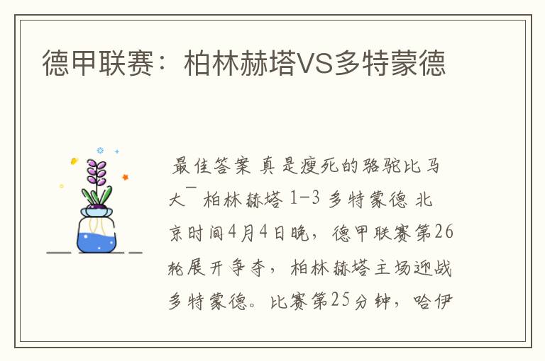 德甲联赛:柏林赫塔VS多特蒙德