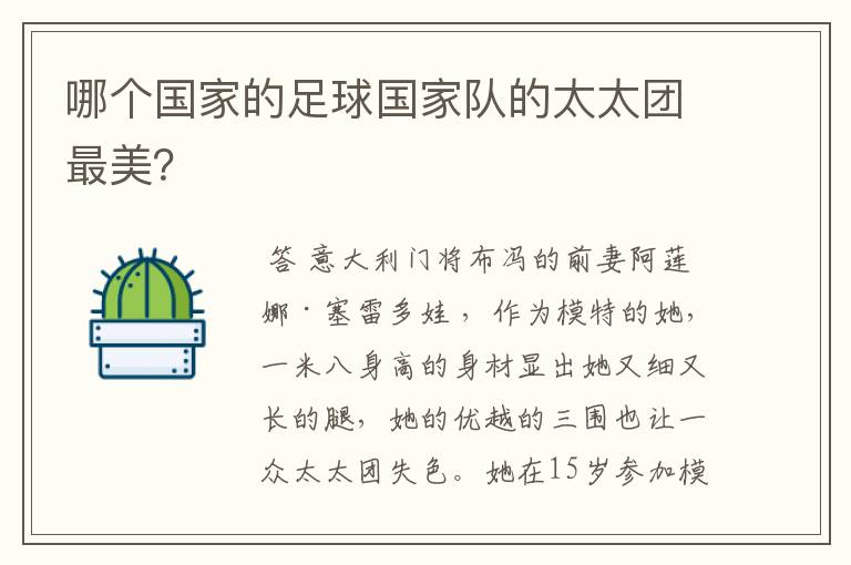 哪个国家的足球国家队的太太团最美?