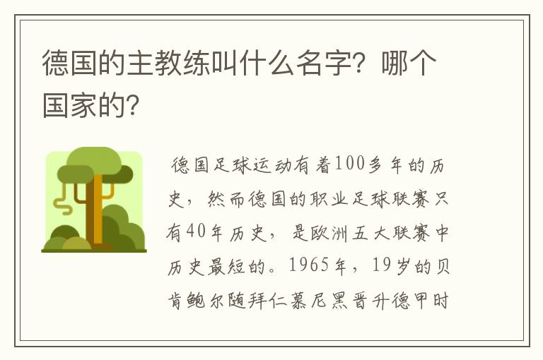 德国的主教练叫什么名字?哪个国家的?