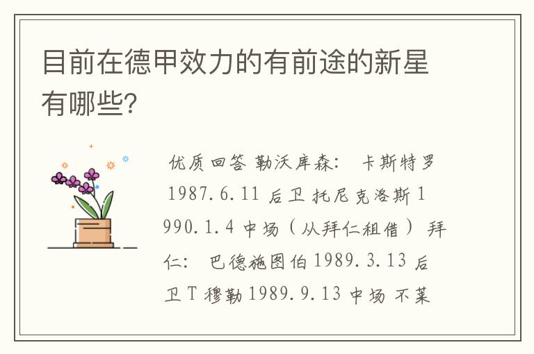 目前在德甲效力的有前途的新星有哪些?