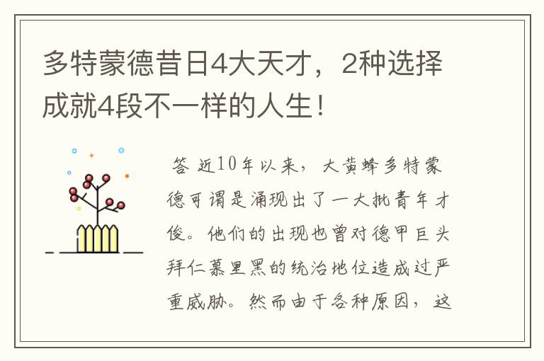 多特蒙德昔日4大天才,2种选择成就4段不一样的人生!