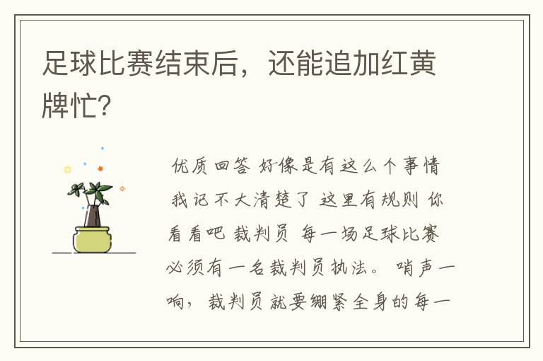 足球比赛结束后,还能追加红黄牌忙?