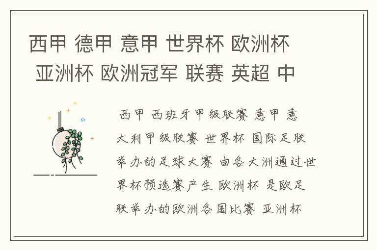 西甲 德甲 意甲 世界杯 欧洲杯 亚洲杯 欧洲冠军 联赛 英超 中超 分别是什么意思啊?