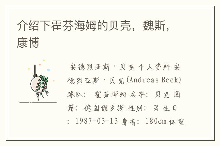 介绍下霍芬海姆的贝壳,魏斯,康博