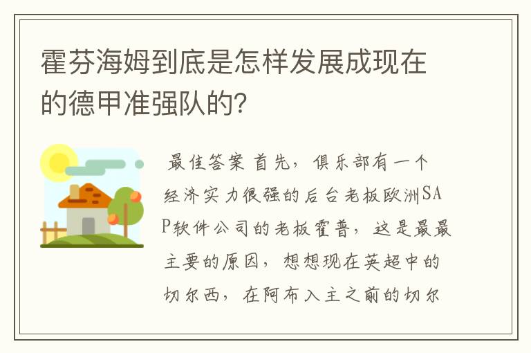 霍芬海姆到底是怎样发展成现在的德甲准强队的?