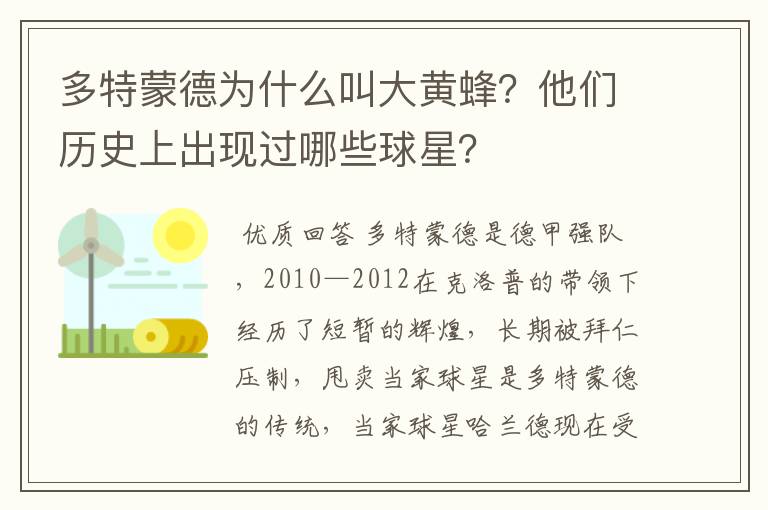 多特蒙德为什么叫大黄蜂?他们历史上出现过哪些球星?