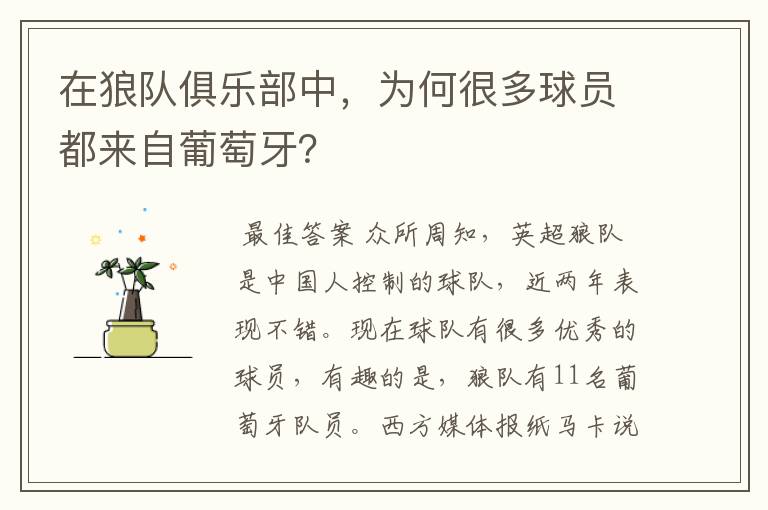 在狼队俱乐部中,为何很多球员都来自葡萄牙?