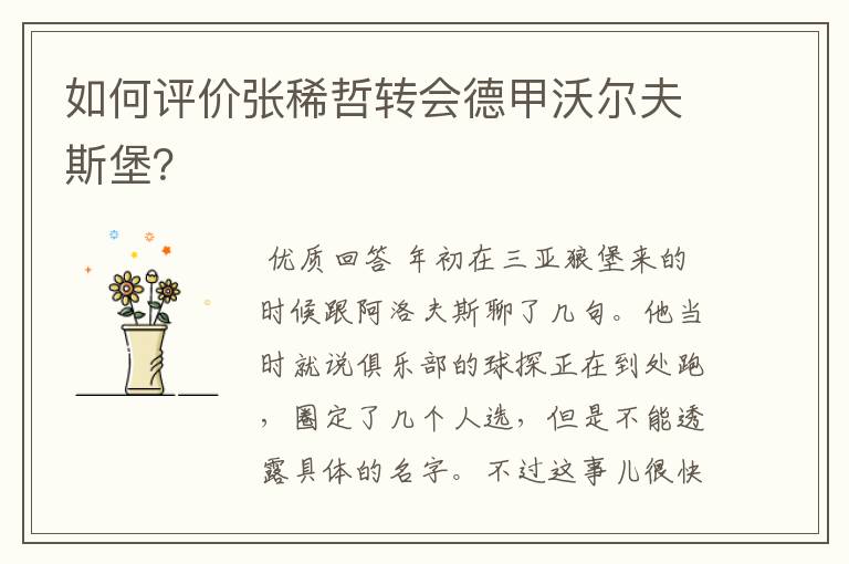 如何评价张稀哲转会德甲沃尔夫斯堡?