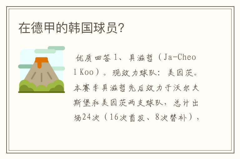 在德甲的韩国球员?