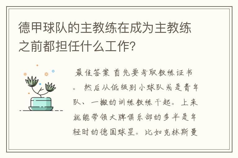 德甲球队的主教练在成为主教练之前都担任什么工作?
