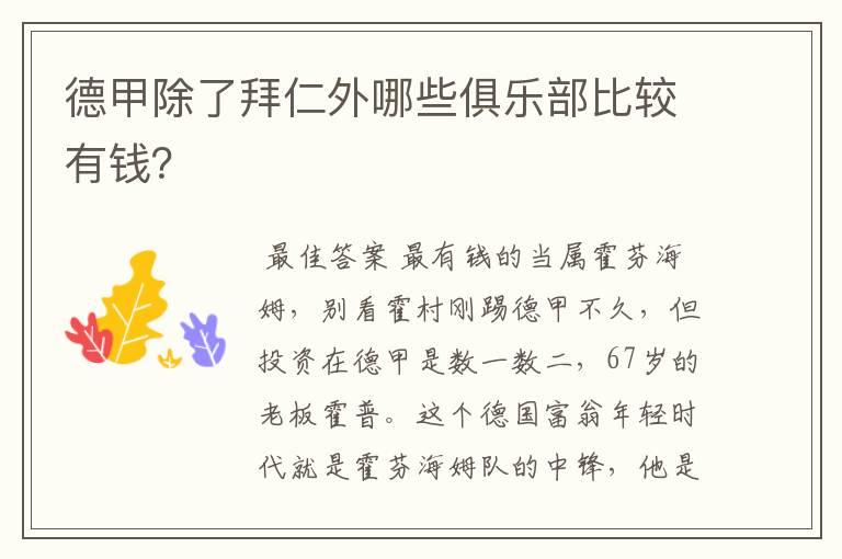 德甲除了拜仁外哪些俱乐部比较有钱?