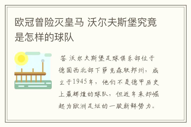 欧冠曾险灭皇马 沃尔夫斯堡究竟是怎样的球队