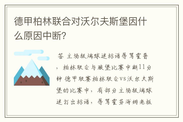 德甲柏林联合对沃尔夫斯堡因什么原因中断?