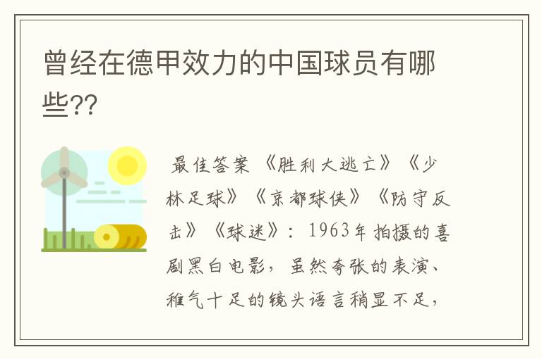 曾经在德甲效力的中国球员有哪些??
