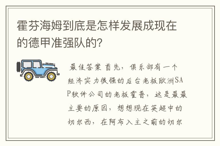 霍芬海姆到底是怎样发展成现在的德甲准强队的?