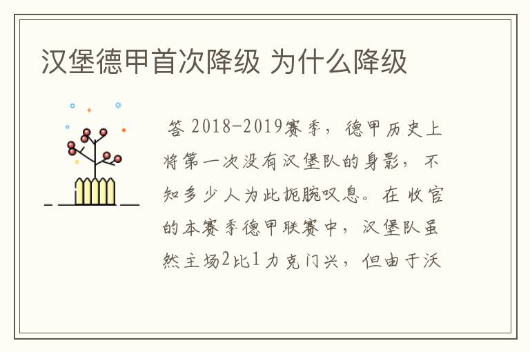 汉堡德甲首次降级 为什么降级