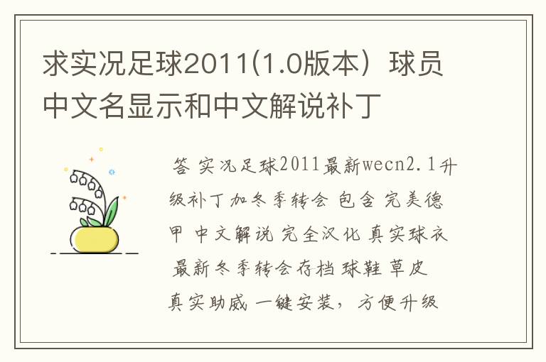 求实况足球2011(1.0版本)球员中文名显示和中文解说补丁