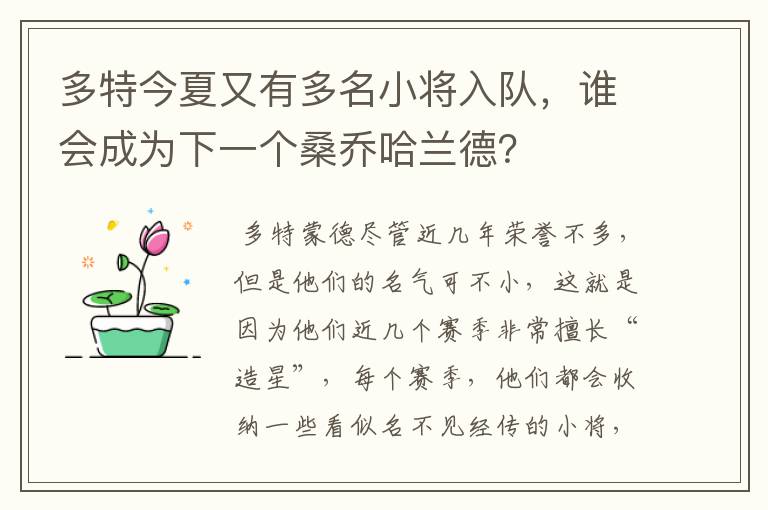 多特今夏又有多名小将入队,谁会成为下一个桑乔哈兰德?