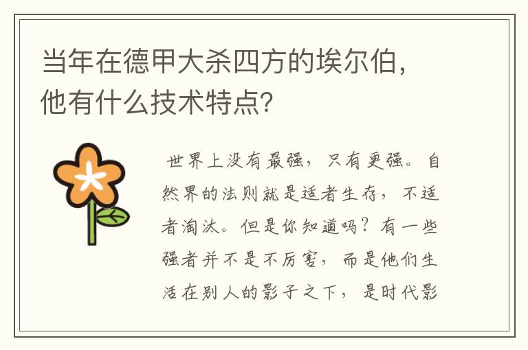 当年在德甲大杀四方的埃尔伯,他有什么技术特点?